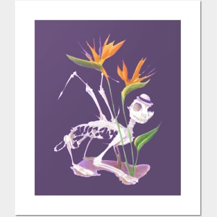 Bird of Paradise Skeletal Winged Cat Posters and Art